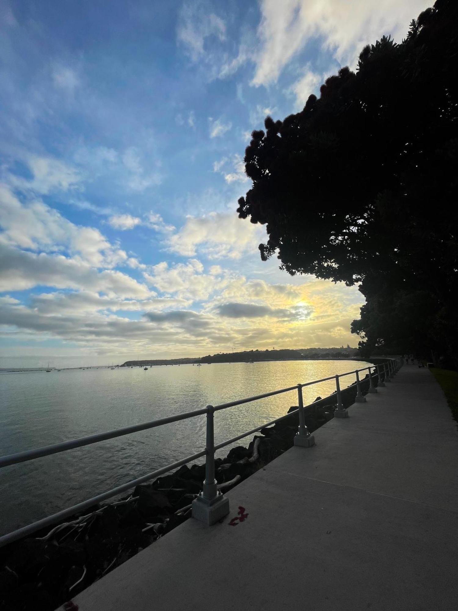 Luxury Apartment - Parking - Hot Tub - Stunning Views Auckland Esterno foto